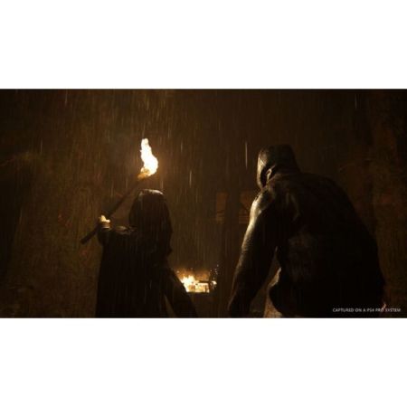 The Last of Us Part 2 (PS4) - Image 2