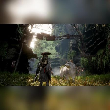 Beast Of Reincarnation (PS5)