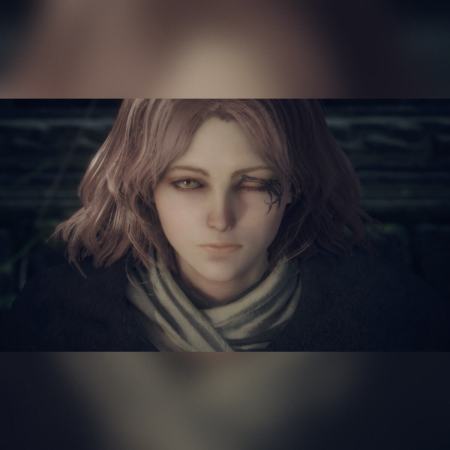 Elden Ring Tarnished Edition (NS2)